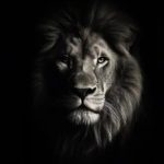 LEAO